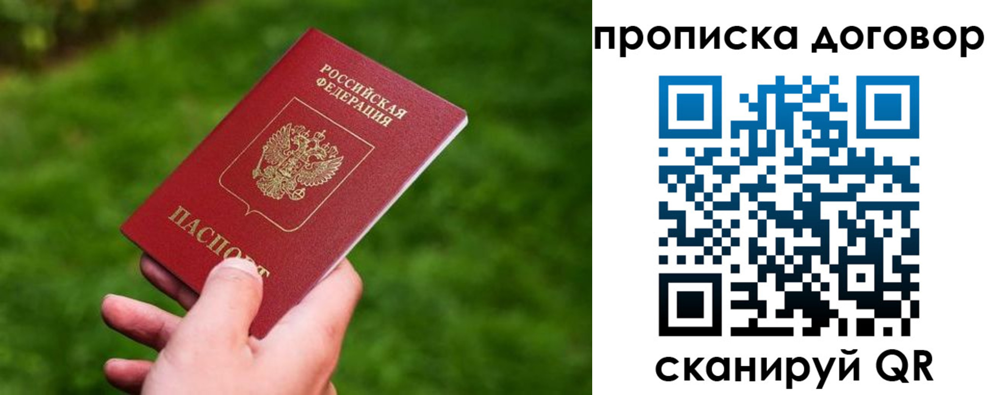 прописка гарантия в Николаевске